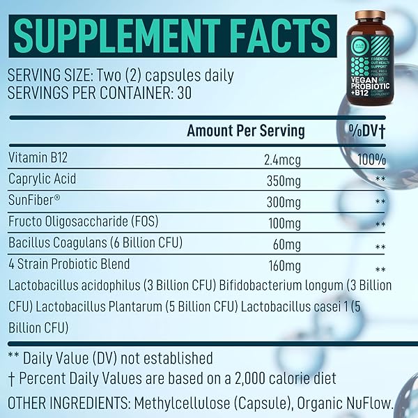 VEGAN PROBIOTIC PLUS B12-22 BILLION CFU SYNBIOTICS PREBIOTICS AND PROBIOTICS FOR DIGESTIVE HEALTH, IBS, MOOD SUPPORT – B12 WITH FOS PRE PRO POST BIOTICS FOR WOMEN & MEN – 60 GLUTEN-FREE CAPSULES