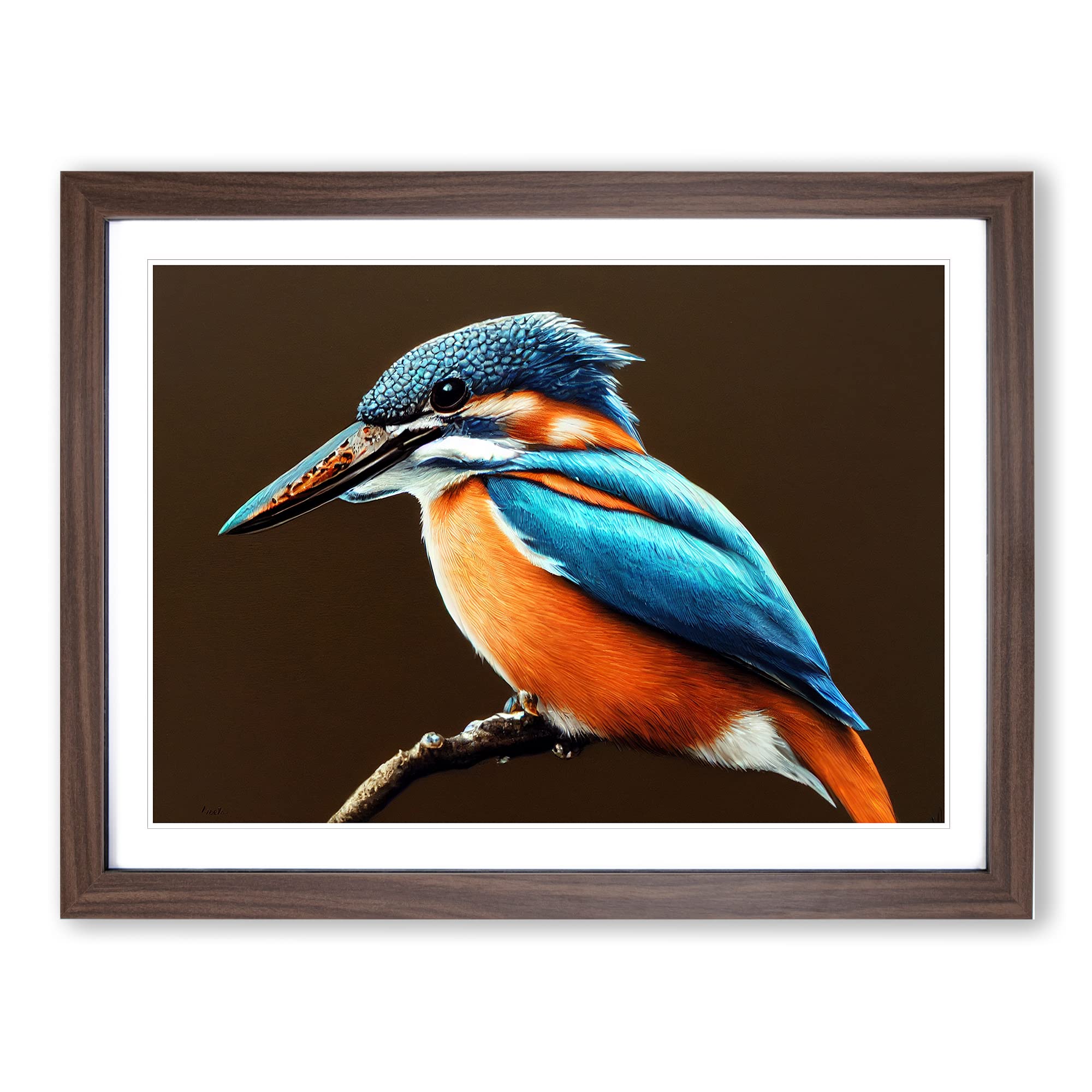 Effervescent Kingfisher Bird Framed Print | A4 Walnut Framed Wall Art | Ready to Hang | Modern Nature Picture | Living Room Bedroom Lounge Office