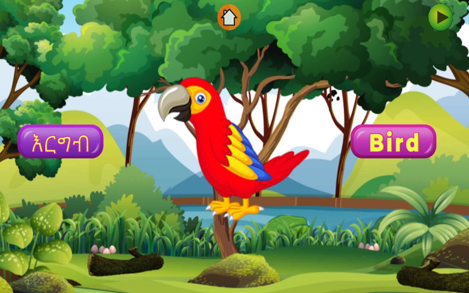 Lijoch Learn Abc, Amharic Alphabet, Body parts, Number, Color and