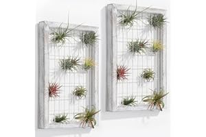 AOAOPQ Air Plants Holders Wood 2 Pack Air Plant Stands Frame Hanger Wall Mounted for Home Office Farmhouse Decoration Rustic Plant Wall Holder White