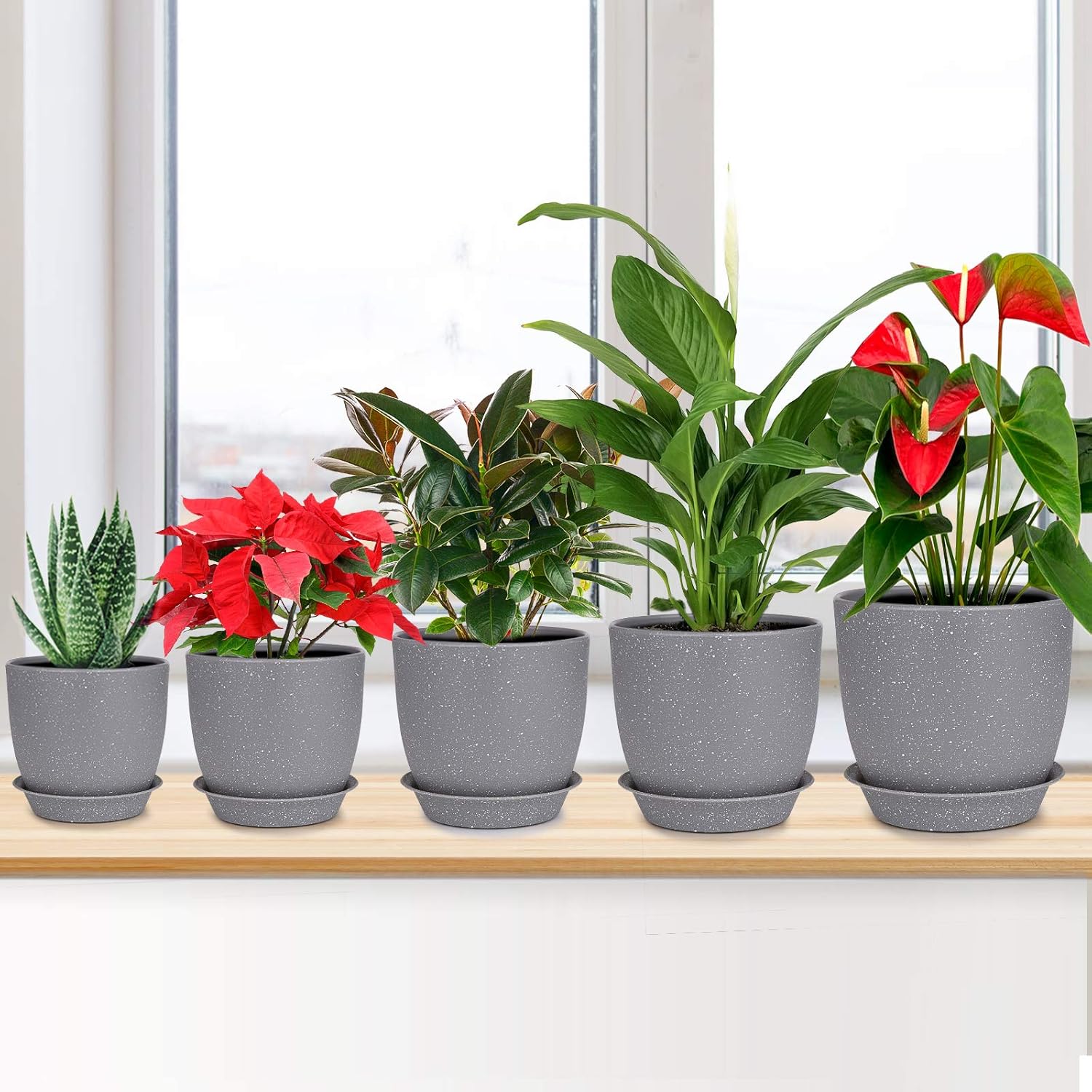 Plastic Planter, HOMENOTE 7/6/5.5/4.8/4.5 Inch Flower Pot Indoor Modern Decorative Plant Pots with Drain Hole and Saucer for All House Plants, Succulents, Flowers, Speckled Gray: Kitchen & Dining