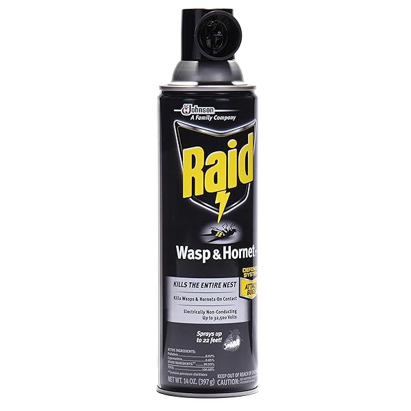 RAID WASP HORNET KILLER SPRAY (14 OUNCE (PACK OF 1))