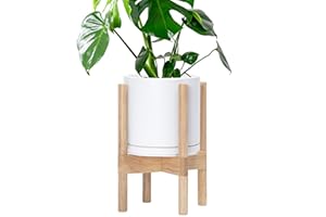 D'vine Dev Ceramic Planter with Natural Stand - 8 Inch Modern Round Flower Pot with Wood Planter Holder, White, 55-B-N-1