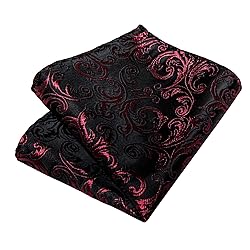 DiBanGu Silk Paisley Ties for Men Woven Necktie and