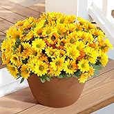 Lifewit Artificial Flowers Daisy for Outdoor Indoor, 6 Bundles Plastic Fake Flowers Mums for Home Garden Decor, Porch, Window Box, Faux Realistic Plants with UV Resistant(Yellow)