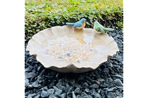 BRILLIANT PROSPECT Ground Standing Bird Bath and Feeder, Wild Hummingbird Bath, Resin Feeding Tray for Outdoor Yard Decorations