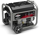 Briggs & Stratton 30676