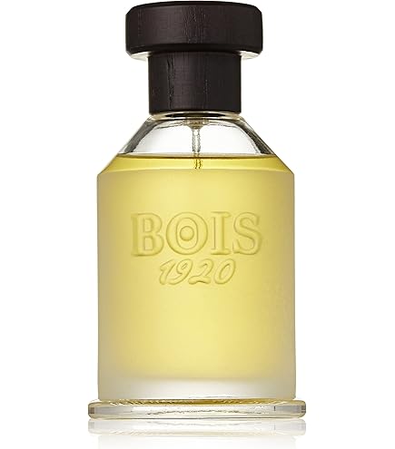 Amazon.com : BOIS 1920 Vento Di Fiori Eau de Toilette, 3.4 Ounce