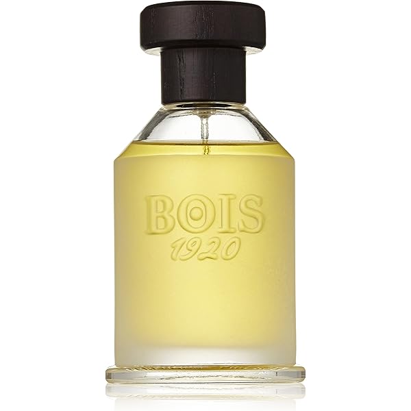 Amazon.com : Bois 1920 CLASSIC Eau De Parfume Spray, 3.4
