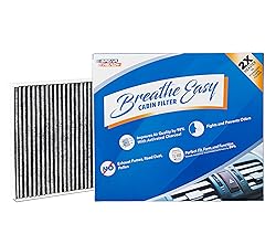 Spearhead Odor Defense Breathe Easy Cabin Filter