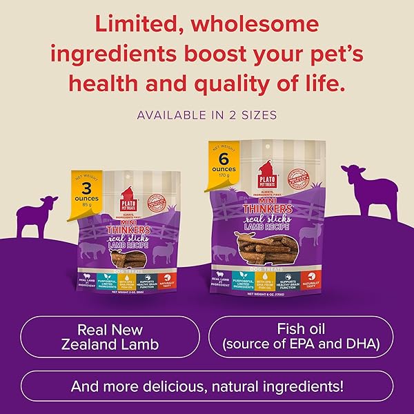 PLATO PET TREATS THINKERS – MEAT STICK TREATS FOR DOGS – LIMITED INGREDIENT DOG TREATS WITH EPA AND DHA TO SUPPORT SKIN, COAT, AND BRAIN – AIR-DRIED DOG TREATS – MINI THINKERS LAMB 3OZ