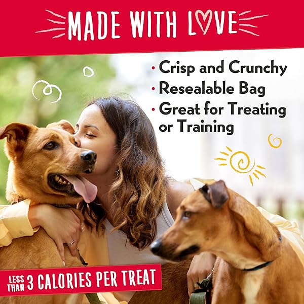 CHARLEE BEAR GRAIN FREE CRUNCH DOG TREATS, BACON & BLUEBERRY FLAVOR, 8 OZ
