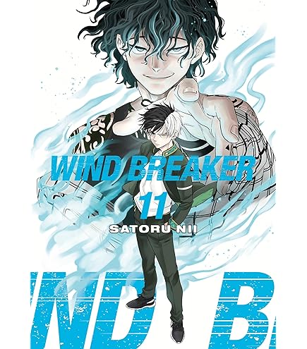 Amazon.com: BANDAI WIND BREAKER Clear Visual Card (Pack Box