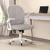 nasPaluro Ergonomic Mesh Office Chair Gray with Flip-Up Armrests Lumbar Support view 2