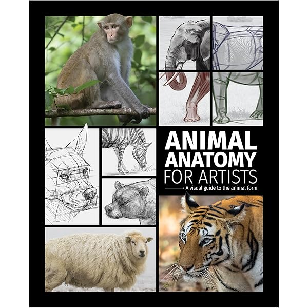 【画集】The Art of Animal Character Design The Art of Animal Character Design, Second Edition: David