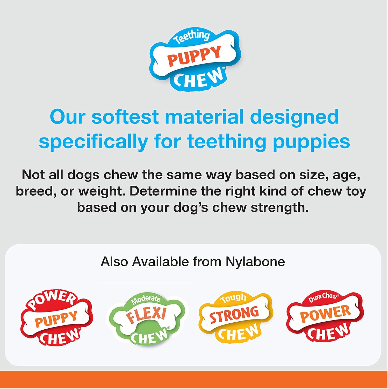 Pet Supplies : Pet Chew Toys : Nylabone Just for Puppies Extra Small Pacifier Bone Puppy Dog Teething Chew Toy : 