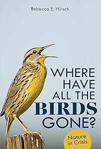 kindle best category lists