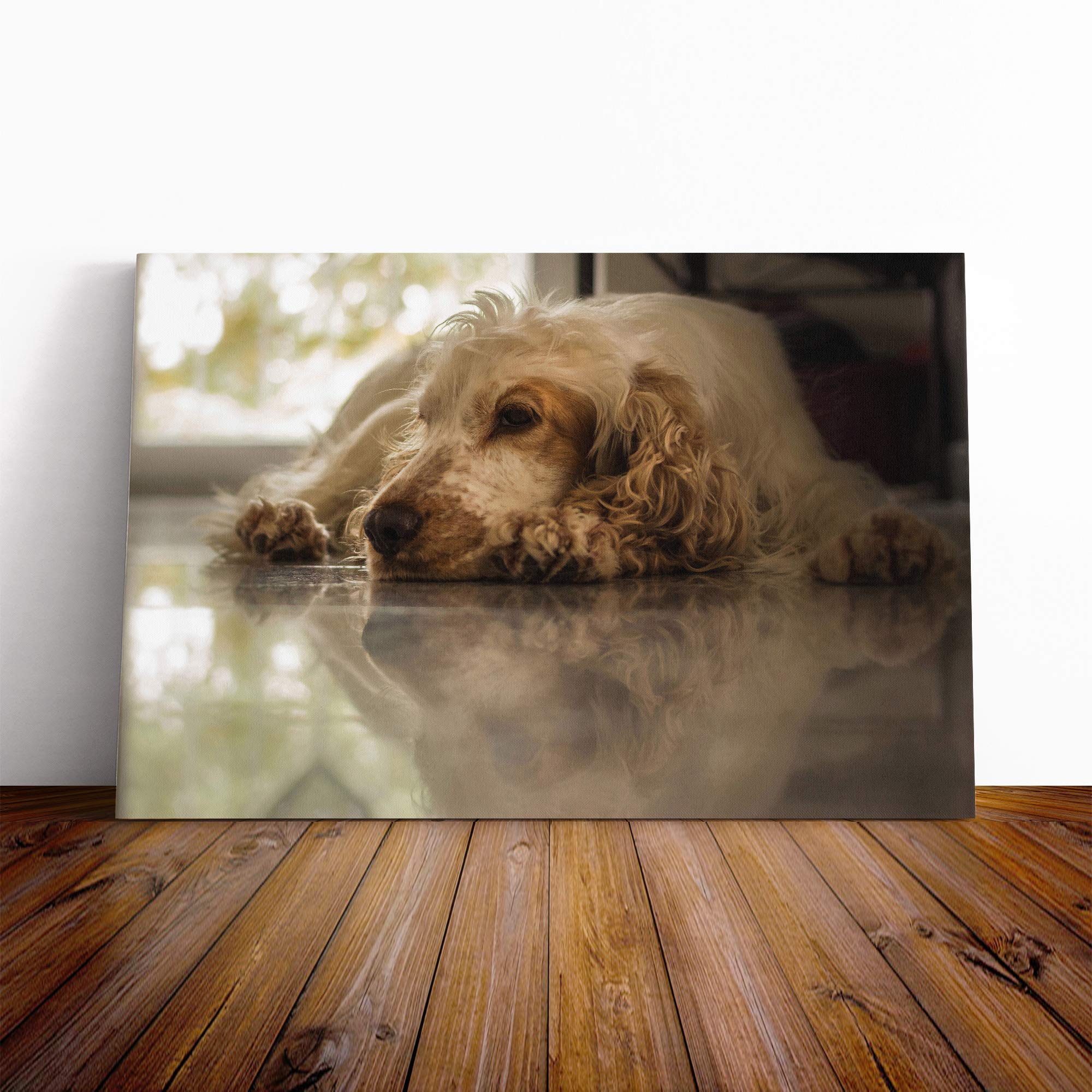 Cocker Spaniel Dog Canvas Print | Gallery Wrapped 30mm Frame Wall Art | 20x14 inches | Ready to Hang | Modern Animals Picture | Living Room Bedroom Lounge Office