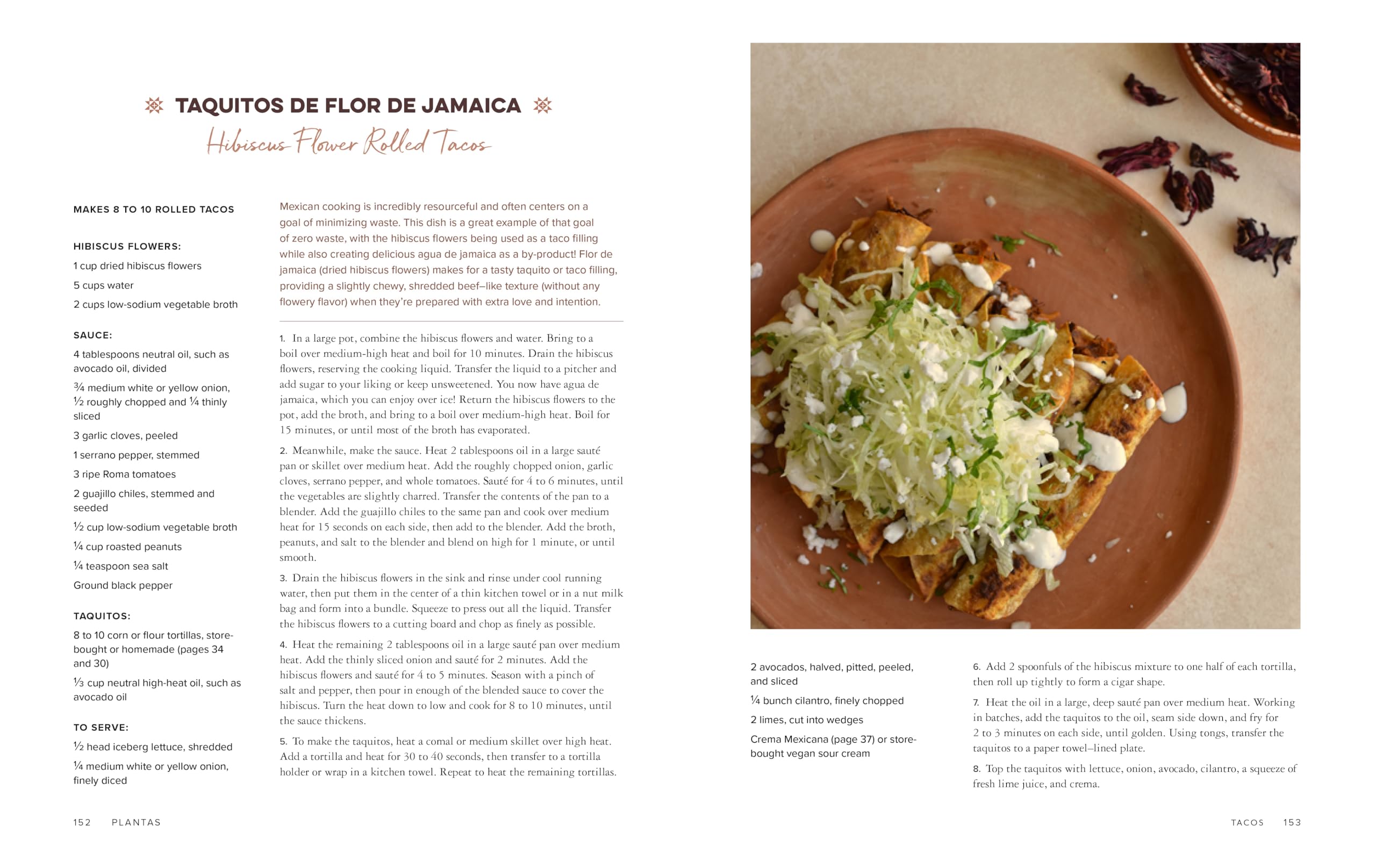 Plantas: Modern Vegan Recipes for Traditional Mexican Cooking Aug 6, 2024