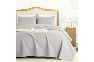 FLYMME Queen Quilt Bedding Set Light Grey Lightweight Bedspreads Full Size,Soft Microfiber Bed Coverlet for All Season (1 Quilt, 2 Shams)