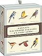 Sibley Backyard Birding Flashcards: 100 Common Birds of Eastern and Western North America (Sibley Birds)