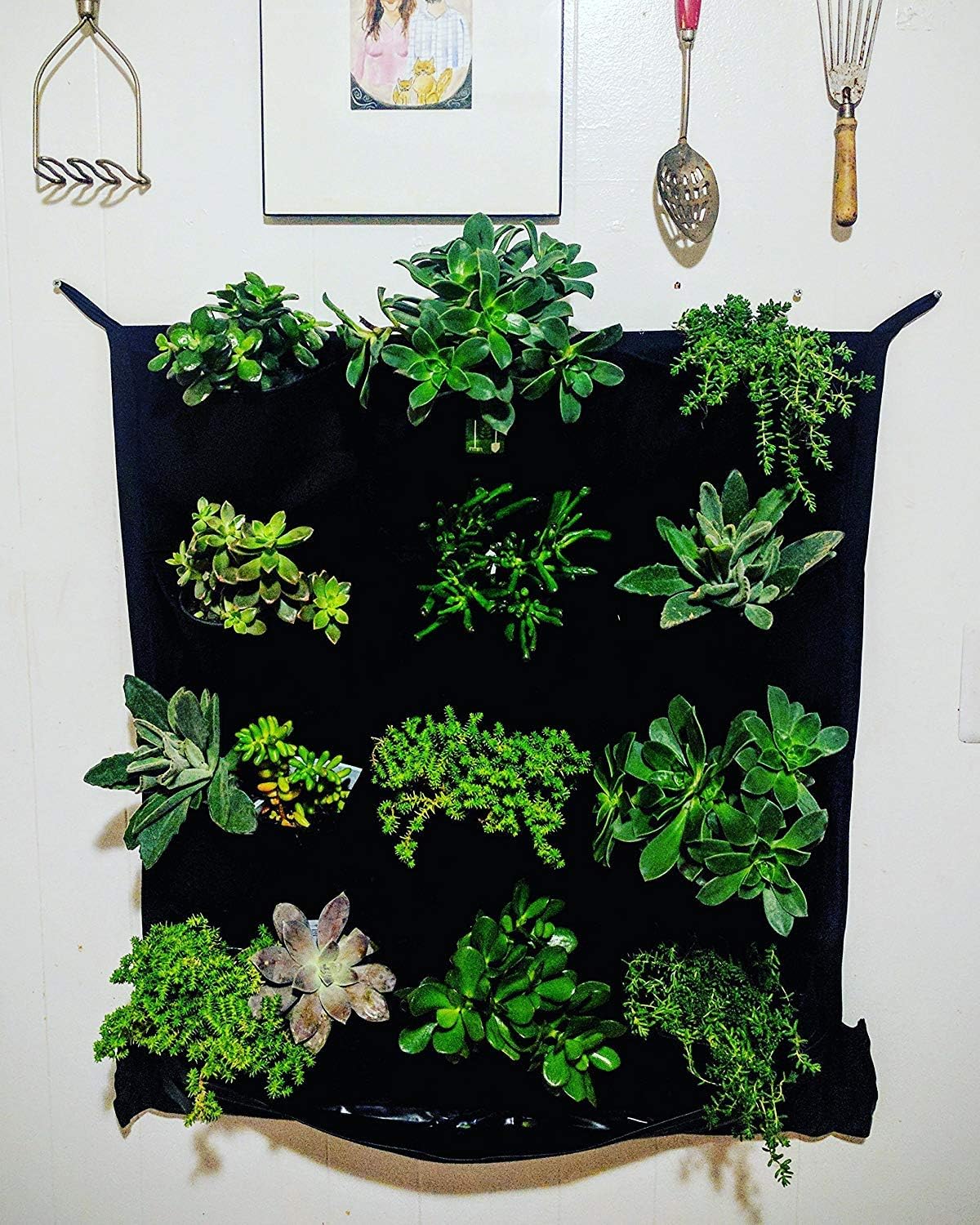 exterior green wall steel matting on Amazon Com 12 Pocket Indoor Waterproof Vertical Living Wall Planter Garden Outdoor