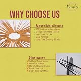 Raajsee Citronella Incense Sticks 100 gm Pack 100% Pure Organic Natural view 3