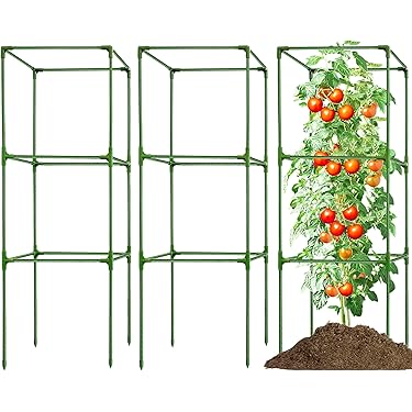 Amazon.com New Releases: The best-selling new & future releases in Garden  Trellises