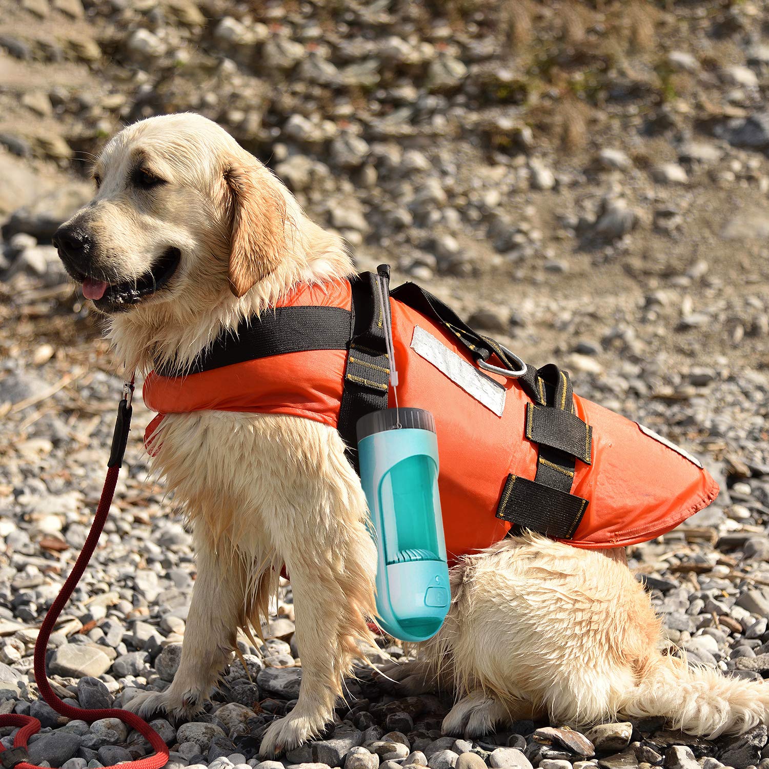 Dog Water Bottle, Leak Proof Drinking Bottle with Activated Carbon Filter, Portable Pet Travel Water Drink Cup Collapsible Water Dispenser Feeder, Safe and Durable for Small Cat Large Dog Outdoor