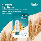 Himalaya Lip Balm Wheatgerm Carrot Seed Oil Dry Chapped Lips Repair 4.5g view 3