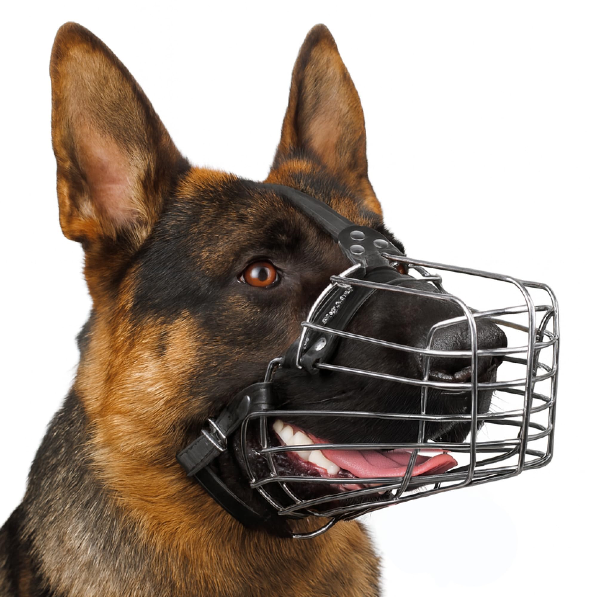 BRONZEDOG Wire Dog Muzzle German Shepherd for Medium Large Dogs Adjustable Durable Metal Basket for Biting Chewing Barking (M) — image 1