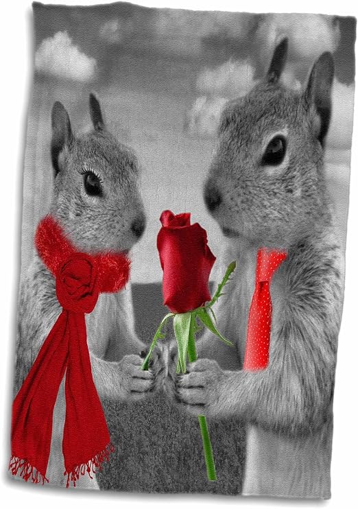 Amazon Com 3d Rose Squirrel Couple In Love With Red Rose Black