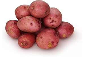 FRESH PRODUCE (BRANDS MAY VARY) Organic Baby Red Potatoes, 24 oz