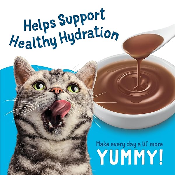 PURINA FRISKIES ALL-STAR FAVES SOUPS, BROTH AND GRAVY CAT FOOD COMPLEMENT WET CAT FOOD VARIETY PACK – 24 CT. BOX
