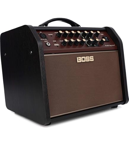 Amazon.com: Fender Acoustic Junior 100W Combo Acoustic Guitar