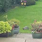 Ornamento Da Giardino Tartaruga In Resina - 28x18.5x12 Cm | Resistente Alle Intemperie E UV - Foto 4