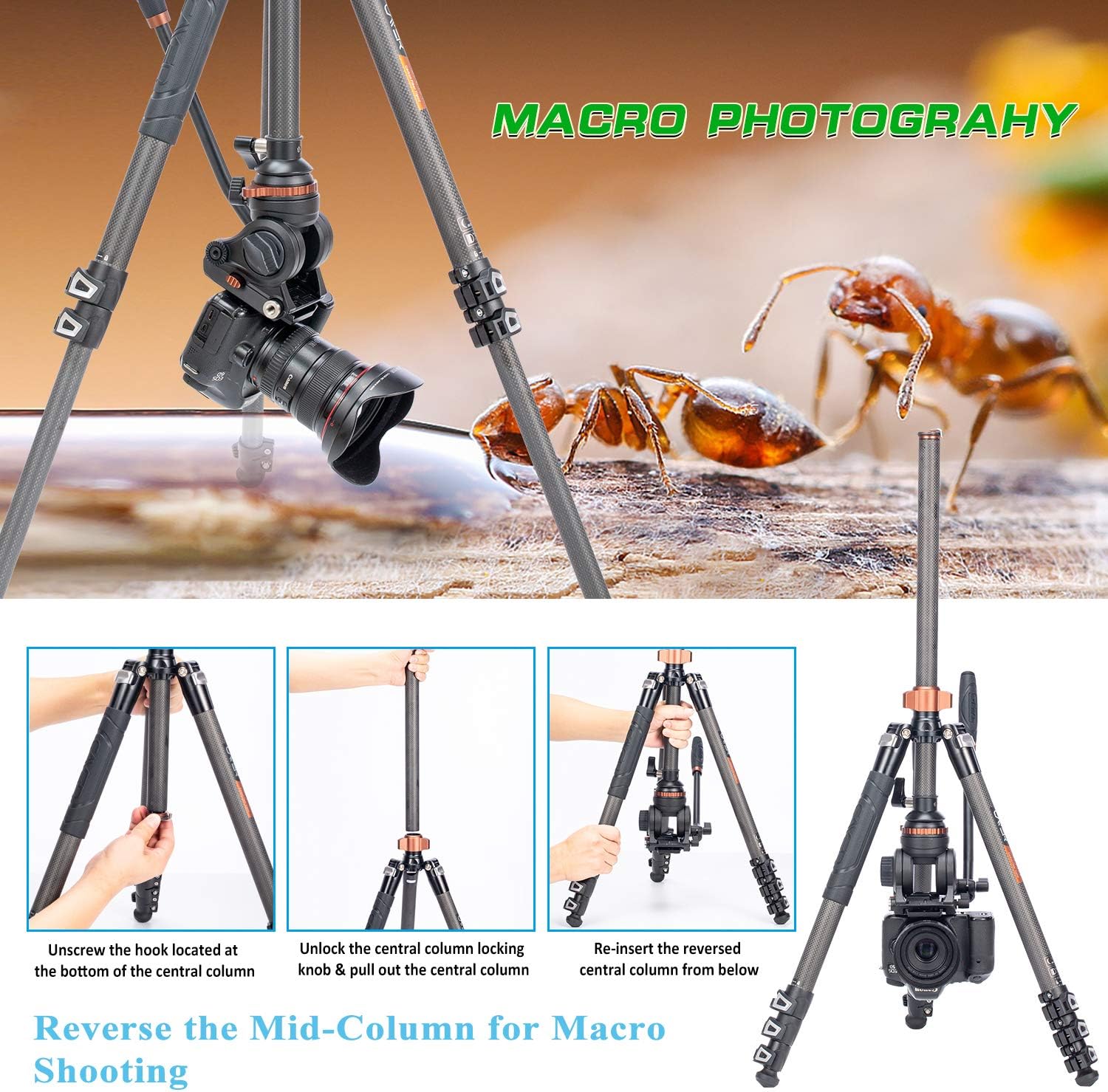 Cayer CF2451 Video Tripod 67 inches Carbon Fiber Tripod Leg with Fluid Drag Head, 4-Section Compact DSLR Tripod Convertible to Monopod for DSLR Camera, Video Camcorder : Camera & Photo