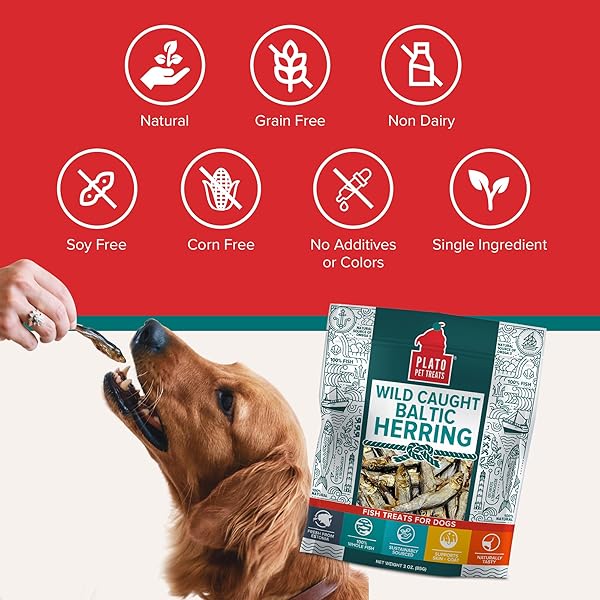 PLATO PET TREATS FISH DOG TREATS – AIR-DRIED, SINGLE INGREDIENT DOG TREAT – WITH OMEGA 3 & 6 FATTY ACIDS TO SUPPORT SKIN AND COAT – 100% WHOLE FISH – WILD CAUGHT BALTIC HERRING DOG TREATS – 8.5 OZ