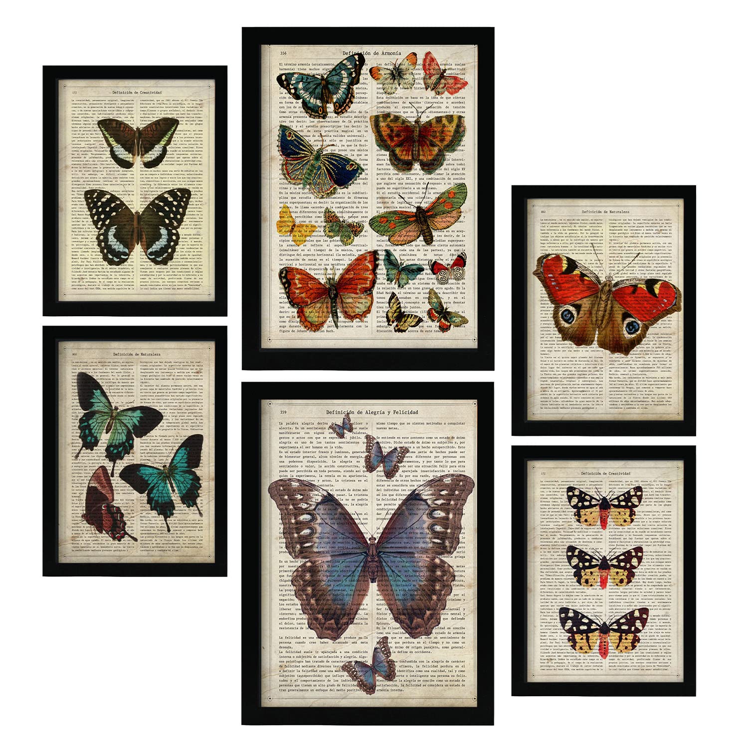 Nacnic Butterflies Posters. Vintage Paper Style Prints with Encyclopedy Backgrounds. Colourful Butterflies. Aesthetic Illustrations for Interior Design and Decoration. A4 & A3.