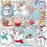 OHOME Winter Stickers | 100 PCS Snowflake Stickers