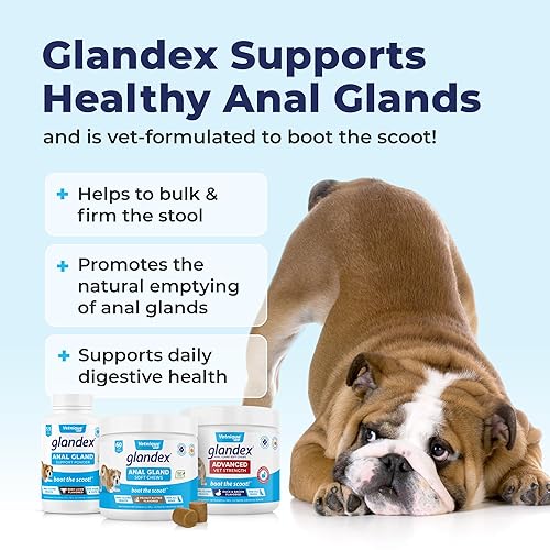 Vetnique Glandex Anal Gland Soft Chew Treats with Pumpkin for Dogs