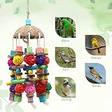 MQUPIN Large Parrot Toy with Coconut Shell, Natural Wood Beak Gym for African view 4
