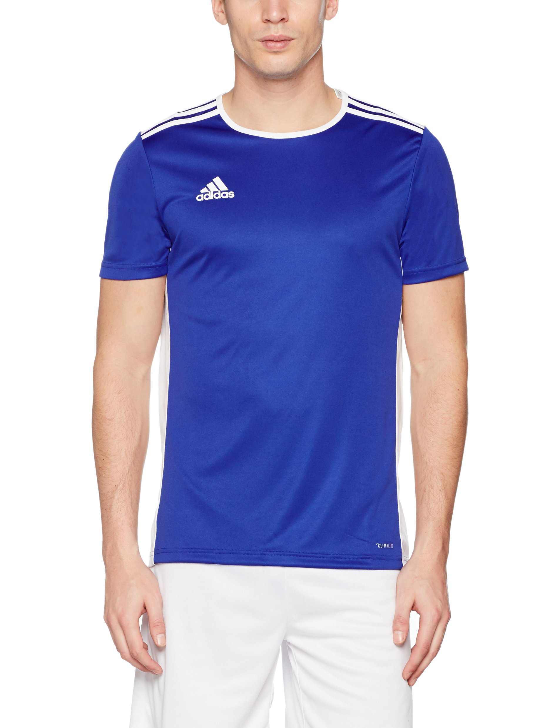 adidas men's soccer entrada 18 jersey