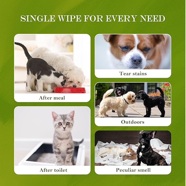 RIXBEO UNSCENTED HYPOALLERGENIC PET WIPES – DEODORIZING CLEANING WIPES FOR DOGS & CATS, ALCOHOL-FREE & PH BALANCED, THICK & LARGE WIPES FOR PAWS, BODY, BUM & FACE, 80 COUNT