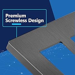 LIDER Brushed Finish Decorator Switch