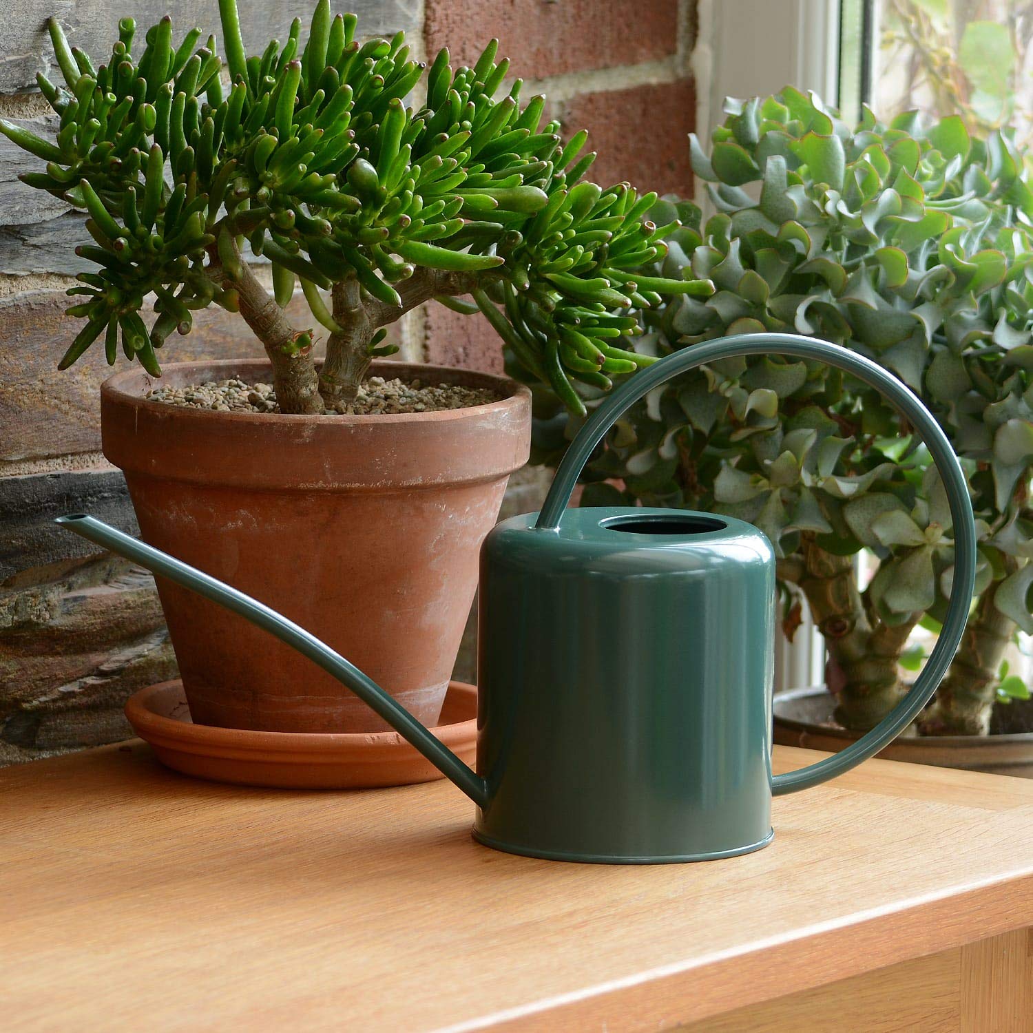 CKB LTD Dark Green 1.4L Indoor Watering Can - Coloured Galvanised Powder Coated Steel - For Houseplants Contemporary Metal Design With Narrow Spout And High Handle (Dark Green)
