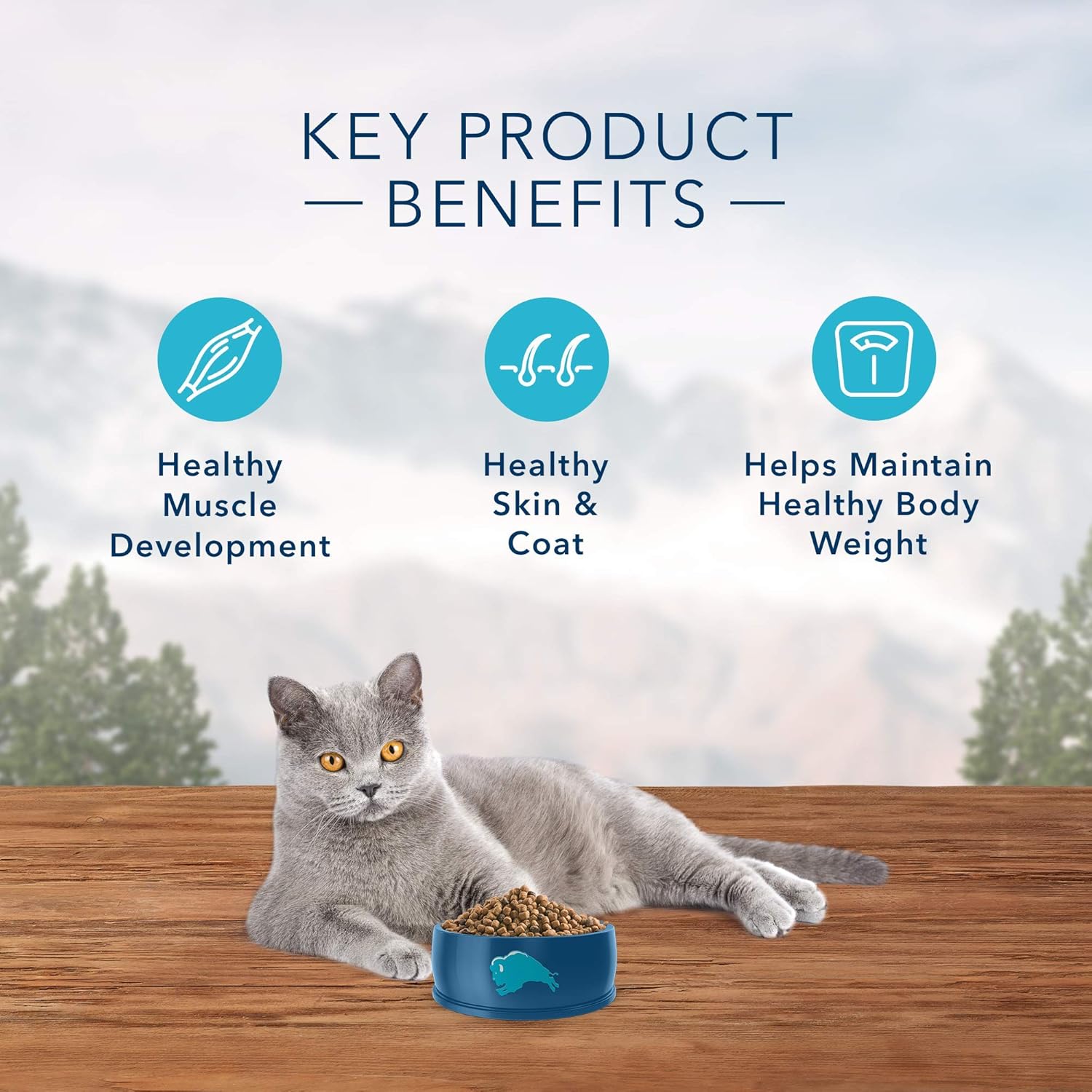 Blue Buffalo Wilderness High Protein, Natural Adult Indoor Dry Cat Food, Chicken 11-lb : Pet Supplies