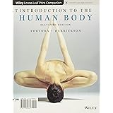 Introduction to the Human Body