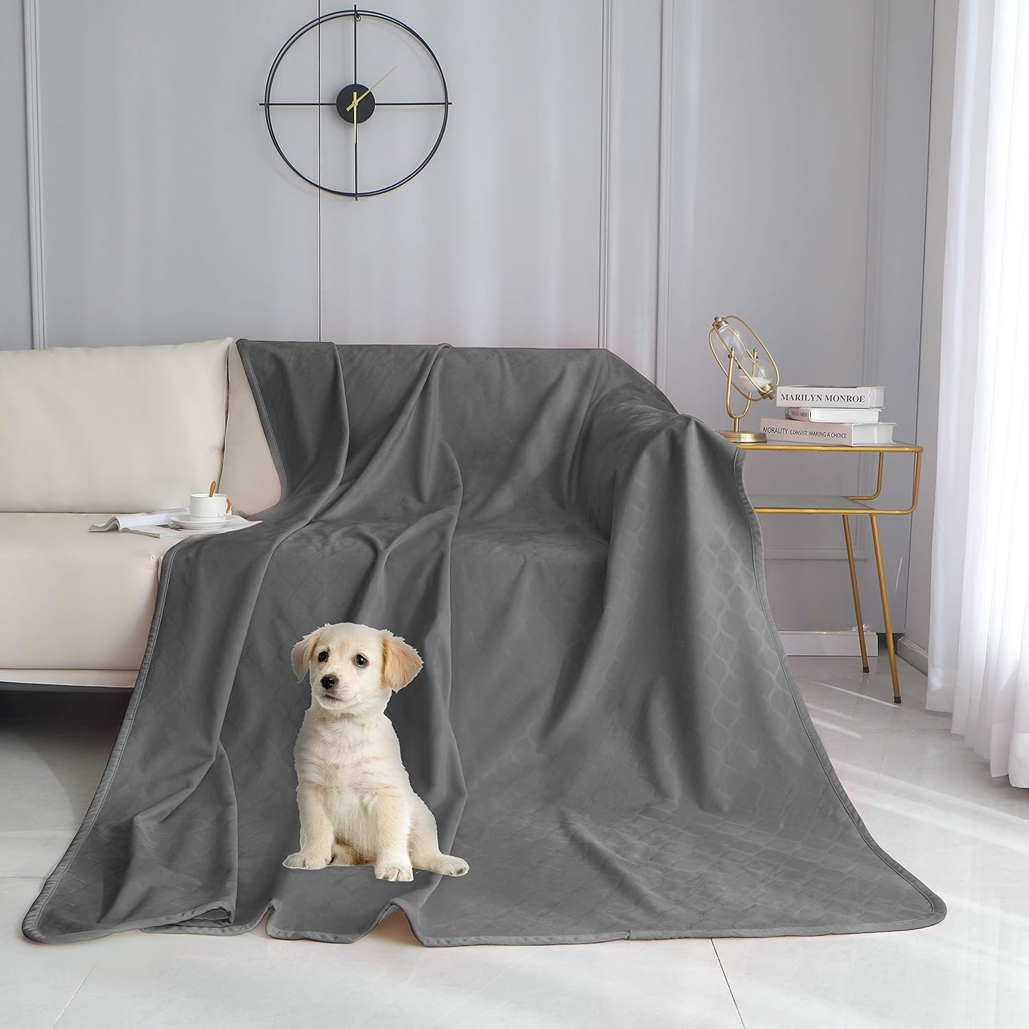 fuguitex Waterproof Dog Blanket Bed Cover Dog Crystal Velvet Fuzzy Cozy Plush Pet Blanket Throw Blanket for Couch Sofa（6880", Dark Grey+Dark Grey : Pet Supplies