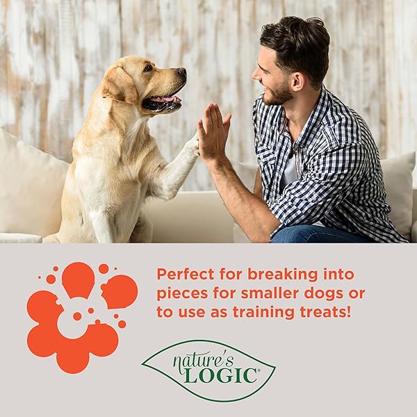 NATURE’S LOGIC BISCUITS WITH BENEFITS SKIN AND COAT, 12OZ